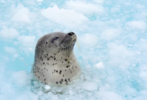 小樽水族館