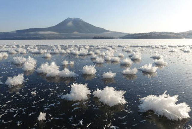 Read more about the article 冬季的定期觀光巴士「白色PIRIKA號」正在接受預約