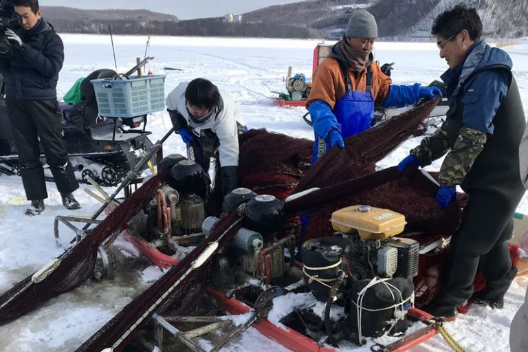 觀看捕撈冰下西太公魚之旅